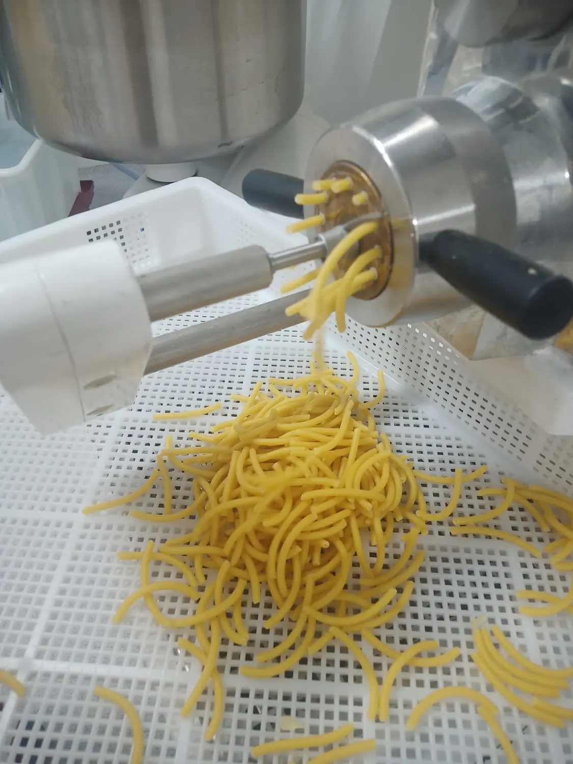Nudelproduktion von Uhlers Hofverkauf
