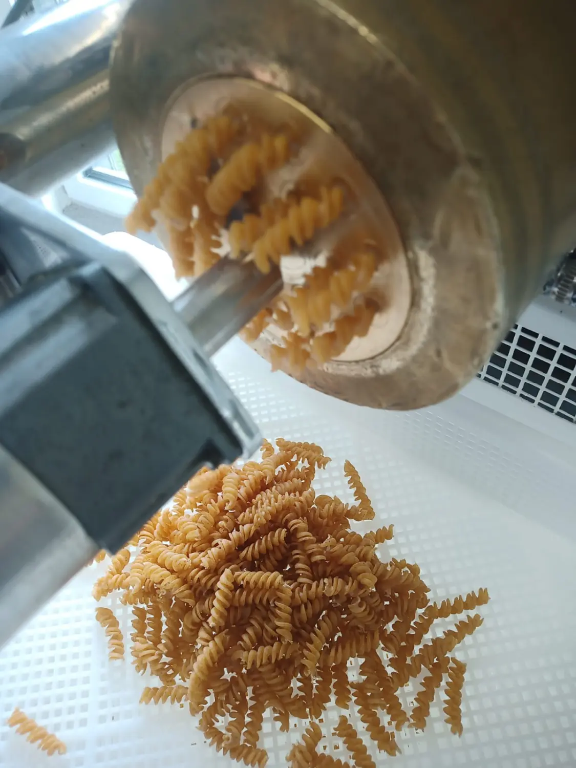 Nudelproduktion von Uhlers Hofverkauf