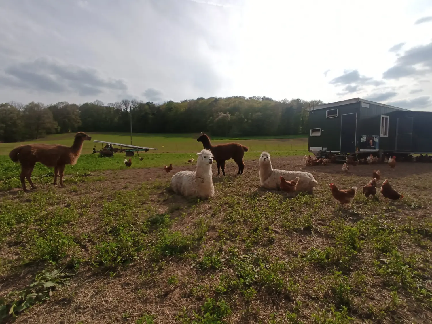 Mobilställen von Uhlers Hofverkauf