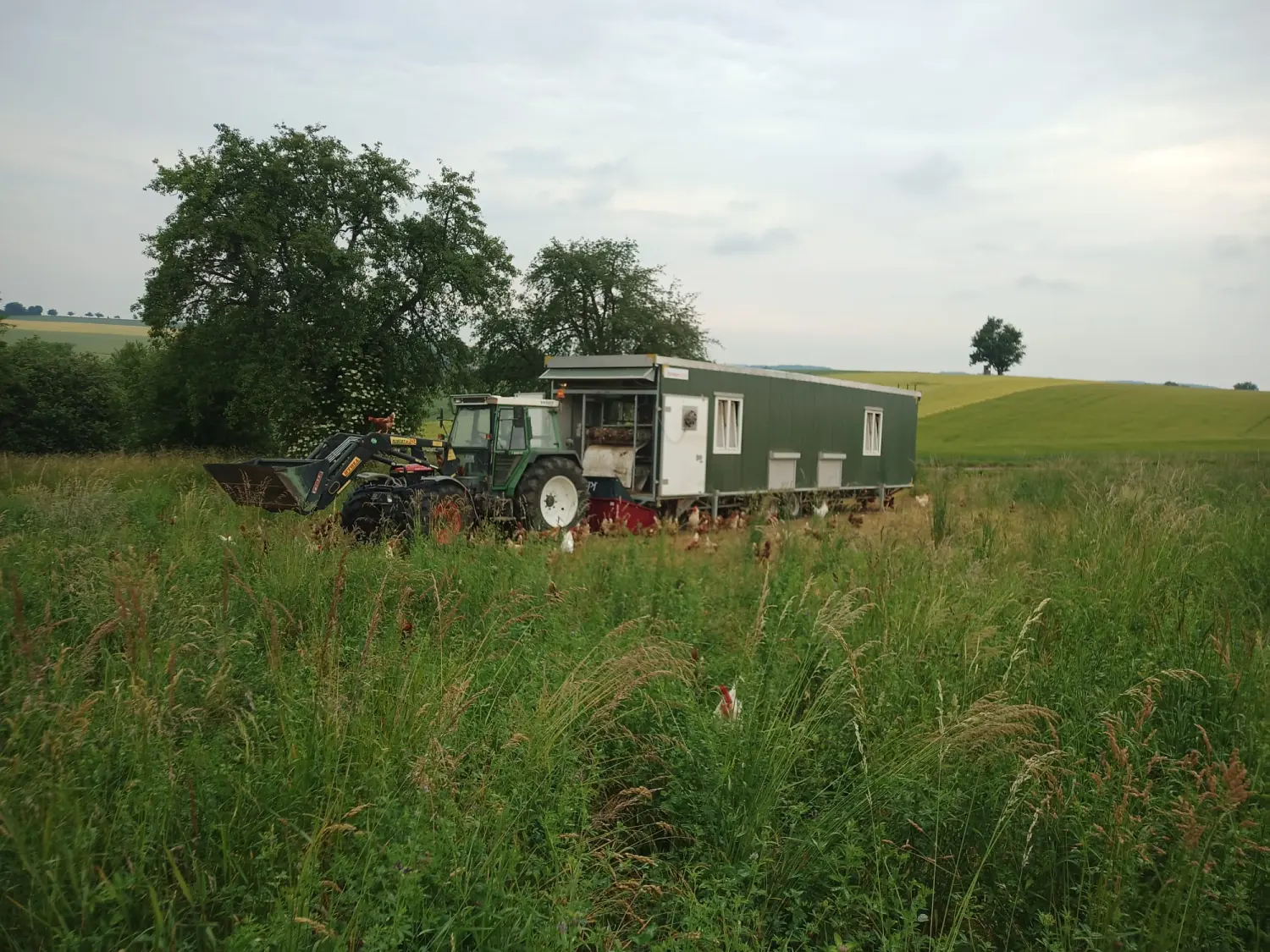 Mobilställen von Uhlers Hofverkauf