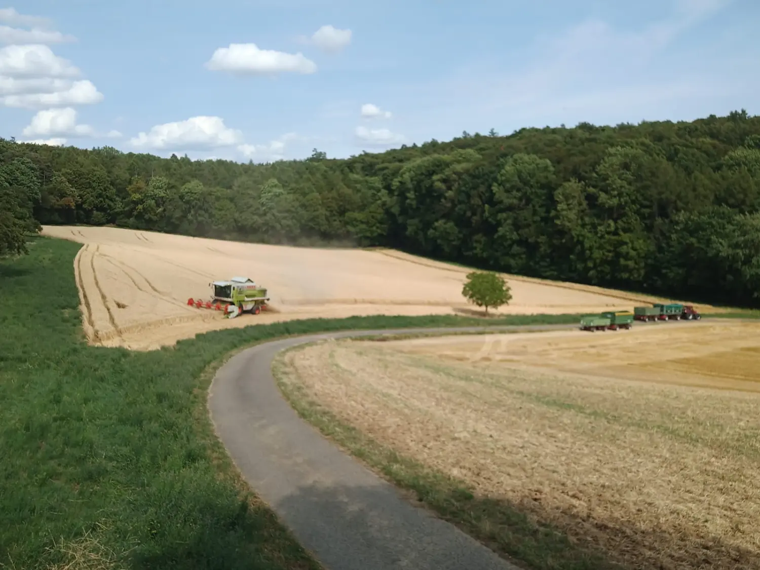 Landwirtschaft von Uhlers Hofverkauf