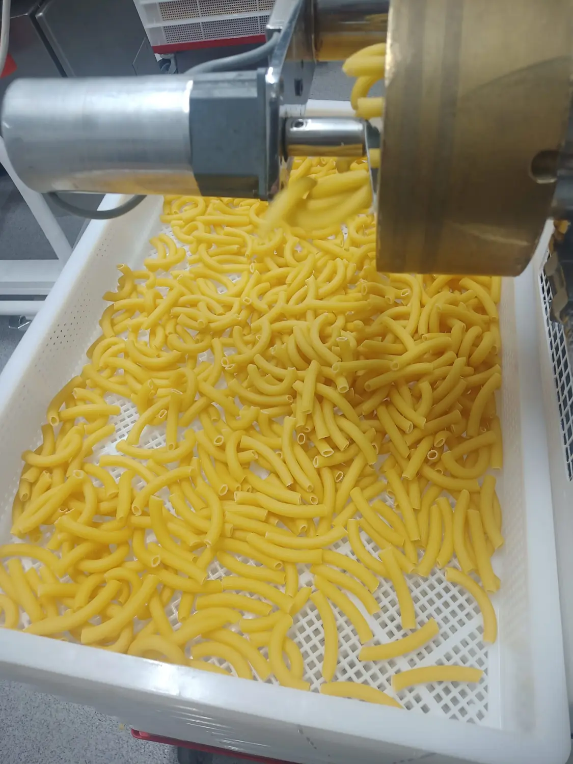 Nudelproduktion von Uhlers Hofverkauf